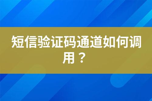 短信驗證碼通道如何調用？